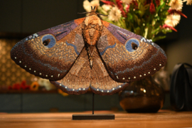 Nachtvlinder - staand ornament