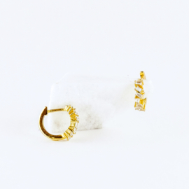 Chini ring earring