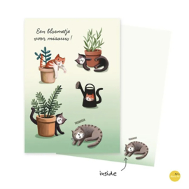 kaartje - Bloemetje voor miaauw