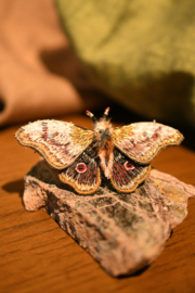 Broche nachtvlinder roze