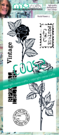 Flowers & Bees met Anneke (06-10-20)