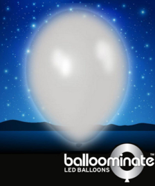 Balloominate - Led Ballonnen - Wit - 5 st/ 27,5 cm