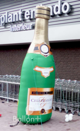 Champagne Fles