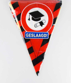 Geslaagd - Verkeersbord - Hoera! - Vlaggenlijn - 10 m