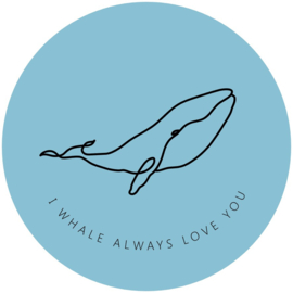 Muurcirkel - whale