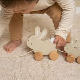 Trekdier - Konijnen bunny