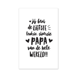 Minikaartje jij bent de liefste, leukste, stoerste papa van de hele wereld