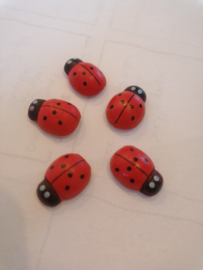 5 houten lieveheersbeestjes, ladybird 20 mm