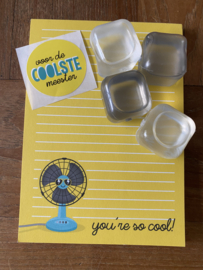 Cadeausetje You’re so cool , voor de coolste meester - ijsblokjes