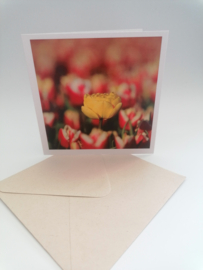 Dubbele kaart vreemde tulp in het veld met enveloppe