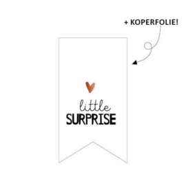 Vaantje (sluit)sticker little surprise