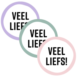 Set van drie (sluit) stickers veel liefs!