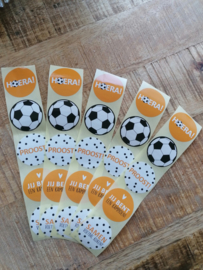 Set van 5 voetbal (sluit)stickers