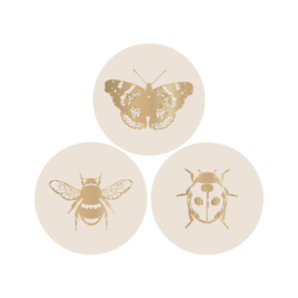 Set van drie insecten (sluit)stickers