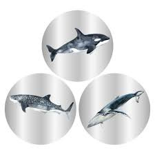 Set van drie  sealife (sluit)stickers