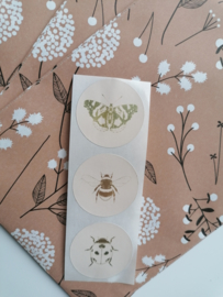 Set van drie insecten (sluit)stickers