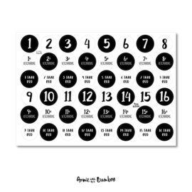 Stickervel 1 t/m 16 jaar met  48 ronde (sluit)stickers