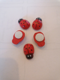 5 houten lieveheersbeestjes, ladybird 20 mm