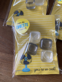 Cadeausetje You’re so cool , voor de coolste meester - ijsblokjes