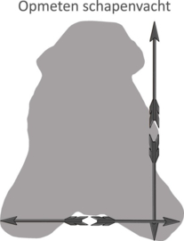 IJslandse schapenvacht G.1