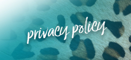 privacy policy