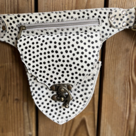 Festival heuptas dalmatiër