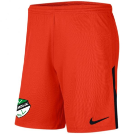 Nike keeperstenue oranje Gardien