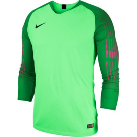 Nike groen keepersshirt Gardien II junior of compleet groen NIKE keeperstenue