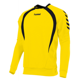 Hummel Teamlijn sweater geel junior