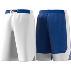 Basketbalbroek jeugd blauw en wit