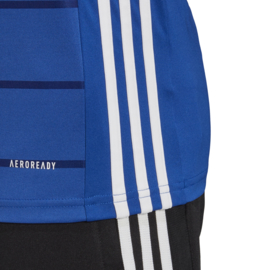 Adidas Campeón 21 blauw shirt