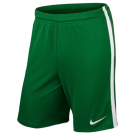 Nike league knit voetbalbroek groen