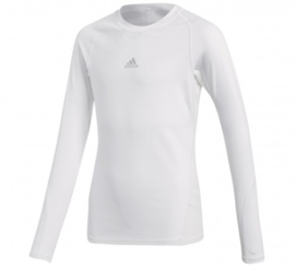 Adidas thermoshirt