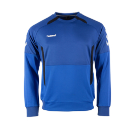 Blauwe Hummel sweater