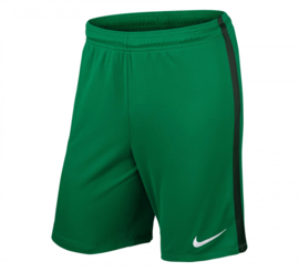 Nike league knit voetbalbroek groen