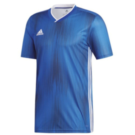 Adidas Tiro 19 blauw shirt korte mouw