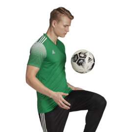 Adidas Regista 20 groen shirt