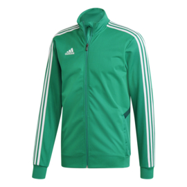 Groene Adidas TIRO 19 jas