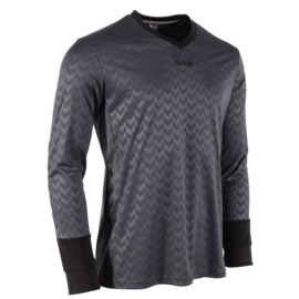 Grijs keepersshirt Hummel Hannover
