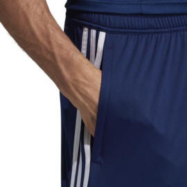 Blauwe korte broek Tiro 19  Adidas