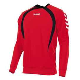 Hummel Teamlijn sweater rood junior