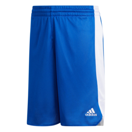 Basketbalbroek jeugd blauw en wit