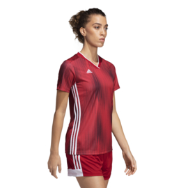 Adidas Tiro 19 rood damesshirt