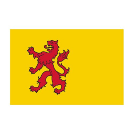 Hollex Provincievlag Zuid-Holland 30x45cm