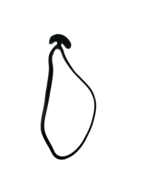 Willem Jantjes T-Fix 16 cm Pst