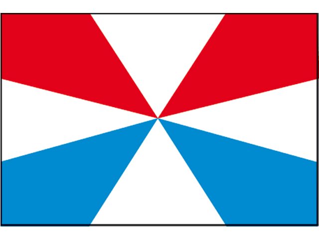 Geus Vlag 20x30cm