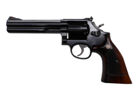 Smith & Wesson 586