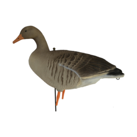 Grauwe Gans Full Body Ganzenlokker