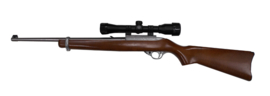 Ruger 10-22 RVS .22LR