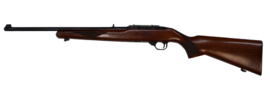 Ruger 10-22  .22LR